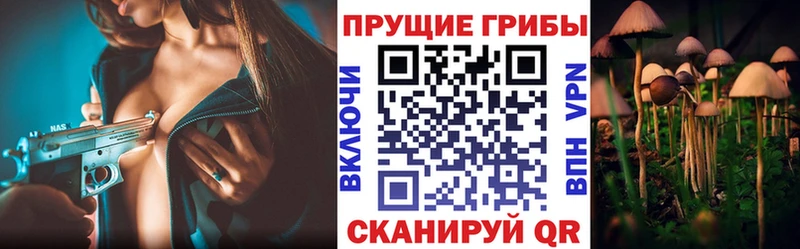Купить  Советск  Псилоцибиновые грибы MAGIC MUSHROOMS 